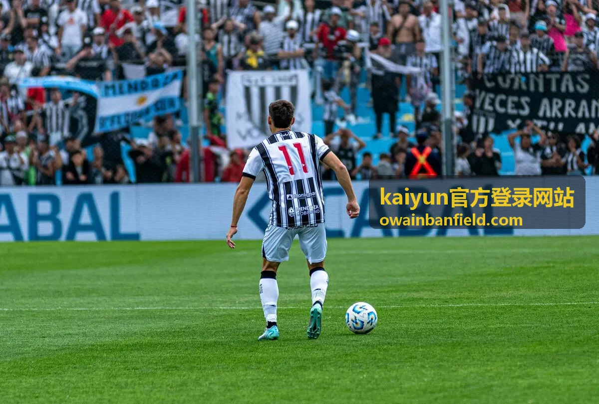 kaiyun官方登录网站账号安全常见问题汇总封面