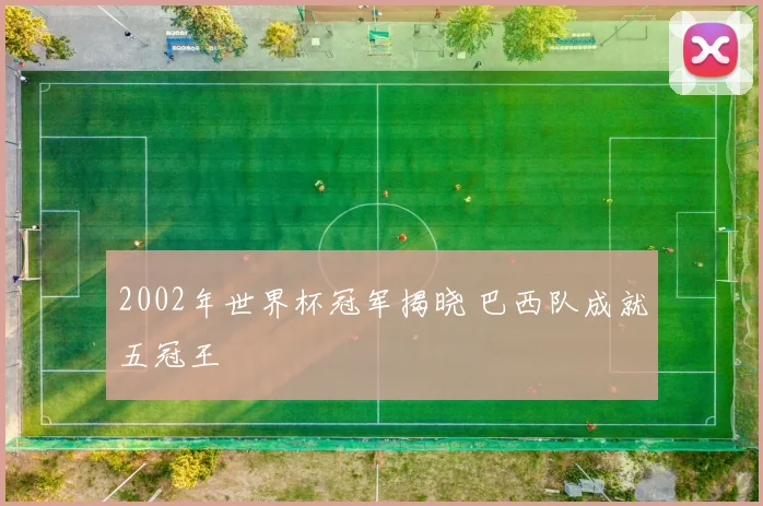 2002年世界杯冠军揭晓 巴西队成就五冠王