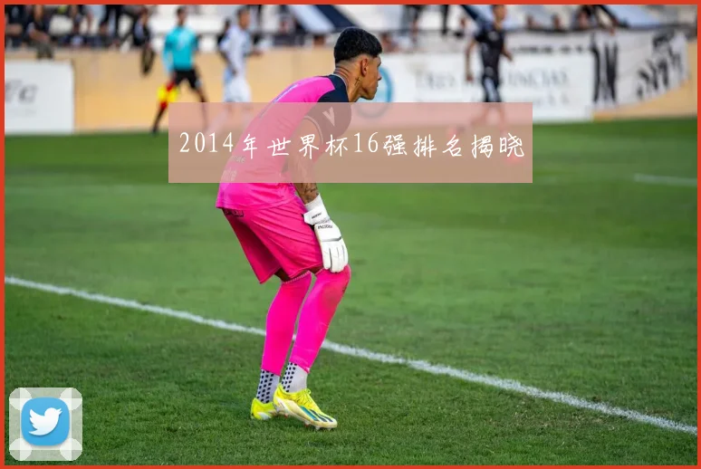 2014年世界杯16强排名揭晓