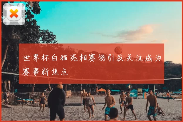 世界杯白猫亮相赛场引发关注成为赛事新焦点