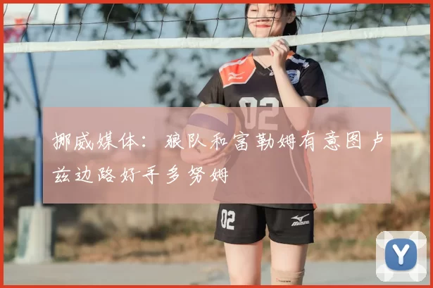 挪威媒体：狼队和富勒姆有意图卢兹边路好手多努姆