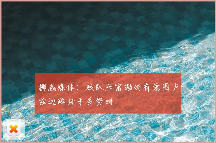 挪威媒体：狼队和富勒姆有意图卢兹边路好手多努姆