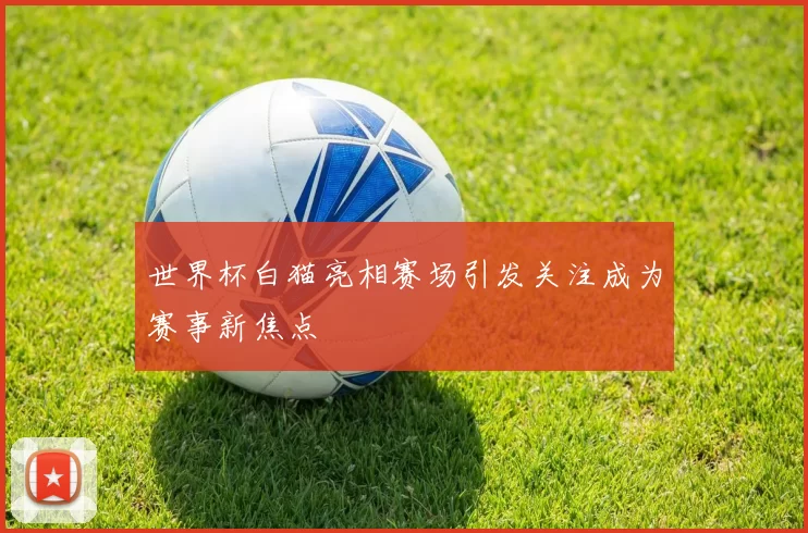 世界杯白猫亮相赛场引发关注成为赛事新焦点